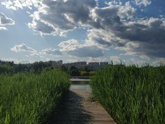 -廊坊文化艺术中心