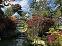 -云禾壹海景庄园餐厅