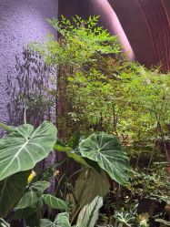 -花隐·美芙炫海菲秀皮肤管理中心