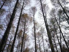-长春净月潭风景名胜区
