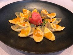 -子福慧(虹桥店)