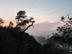 -板樟山森林公园