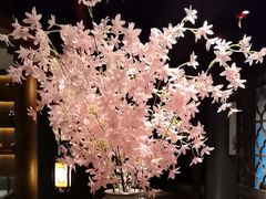 -新渝城·川菜·火锅(区庄店)