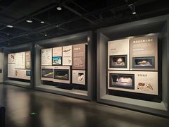 -四川大学博物馆