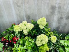 -老铜锅涮羊肉(大连海滨住宅小区店)
