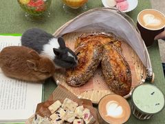 -伴山茶苑·围炉煮茶