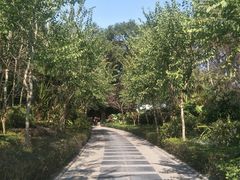 -北京汉丽轩自助烧烤(解放桥店)