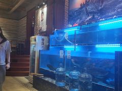 水产区-姜君·千岛湖鱼头馆(浦东大道店)