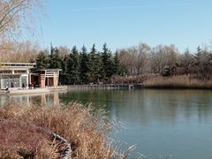 -大兴滨河森林公园