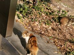 -苏州河梦清园环保主题公园