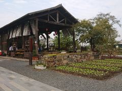 -田园东方蜜桃村的田野营地