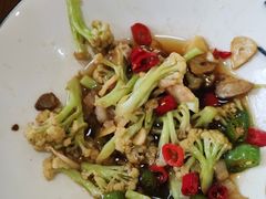 -普集烧鸡(新店)