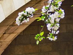 -元大都城垣遗址公园