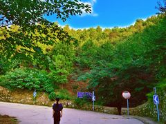 -红光山