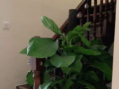 -北纬37°SPA养身会馆(湖西店)