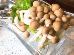 -九府羊·鲜羊火锅·烤串(新华路店)