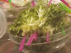苦苣-森季旋转火锅(怀远门店)