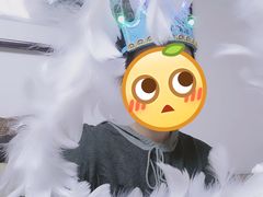 -幸福鸟动物奶油生日蛋糕(军校店)