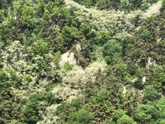 -沂蒙山旅游区云蒙景区(蒙山国家森林公园)