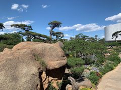 -罗红摄影艺术馆