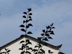 -张公山寨景区