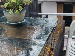 -唐咖精品咖啡(大理古城手冲店)