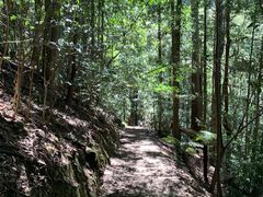 -悉尼蓝山三姐妹峰