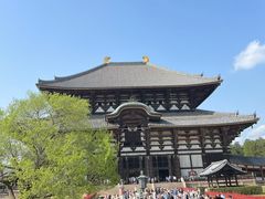 -奈良公园