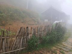 -紫鹊界梯田景区