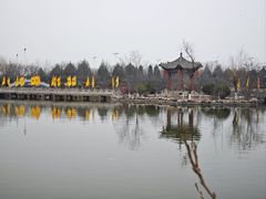 -大槐树寻根祭祖园