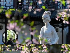 -莫愁湖公园