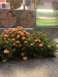 -花隐·美芙炫海菲秀皮肤管理中心