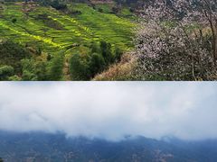 -篁岭景区