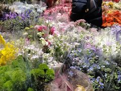 -循礼门鲜花花市(武汉循礼门店)