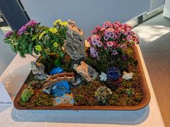 -杭州植物园