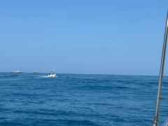 -小猫钓鱼海钓俱乐部(椰梦长廊店)