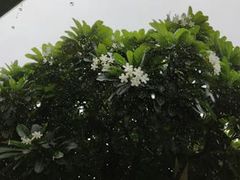 -维乐口腔医院(星海湾分院)