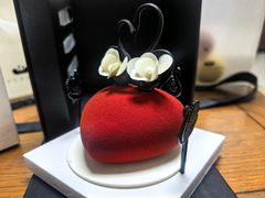 -BLACKSWAN黑天鹅(环球店)