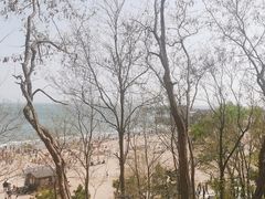 -老龙头景区