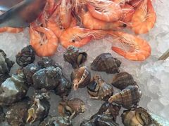 -上海龙之梦万丽酒店