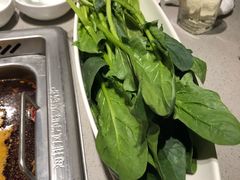 -海底捞火锅(公益西桥店)