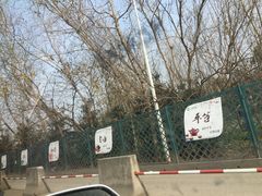 -江杨农产品批发市场