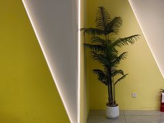 -J-Optical佳视明眼镜·蔡司视觉(青岛金茂览秀城店)
