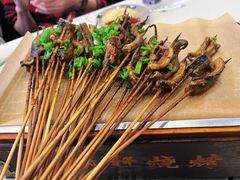 鳝鱼-晓靖轩烧烤(沙河风情店)