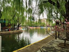 -团结湖公园