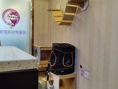 -宠爱国际动物医院·消化内科·心肾内科·ISFM猫友好(望京店)