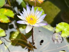 -海窝子古镇