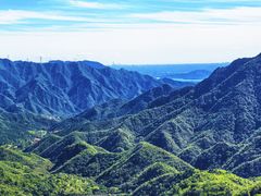 -大岭沟猕猴桃谷风景区