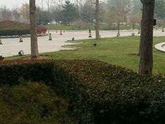 android_upload_pic-北京九华山庄会展酒店