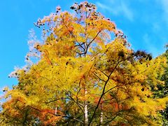 -苏州河梦清园环保主题公园